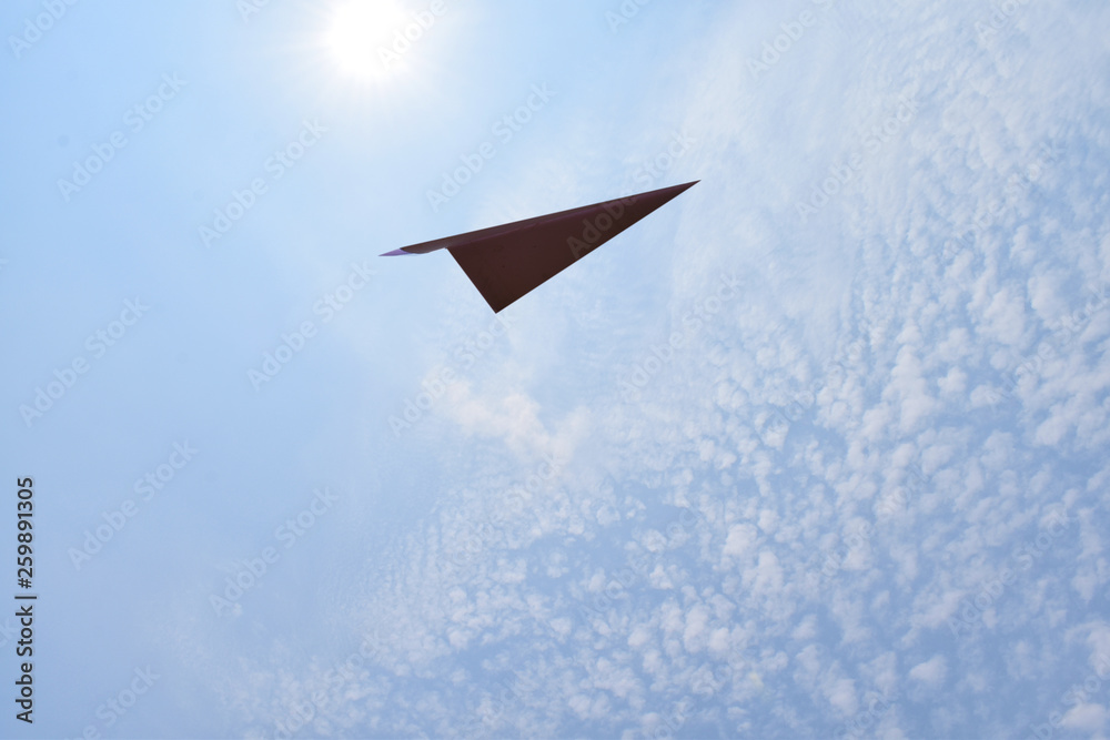 Naklejka premium plane in the sky