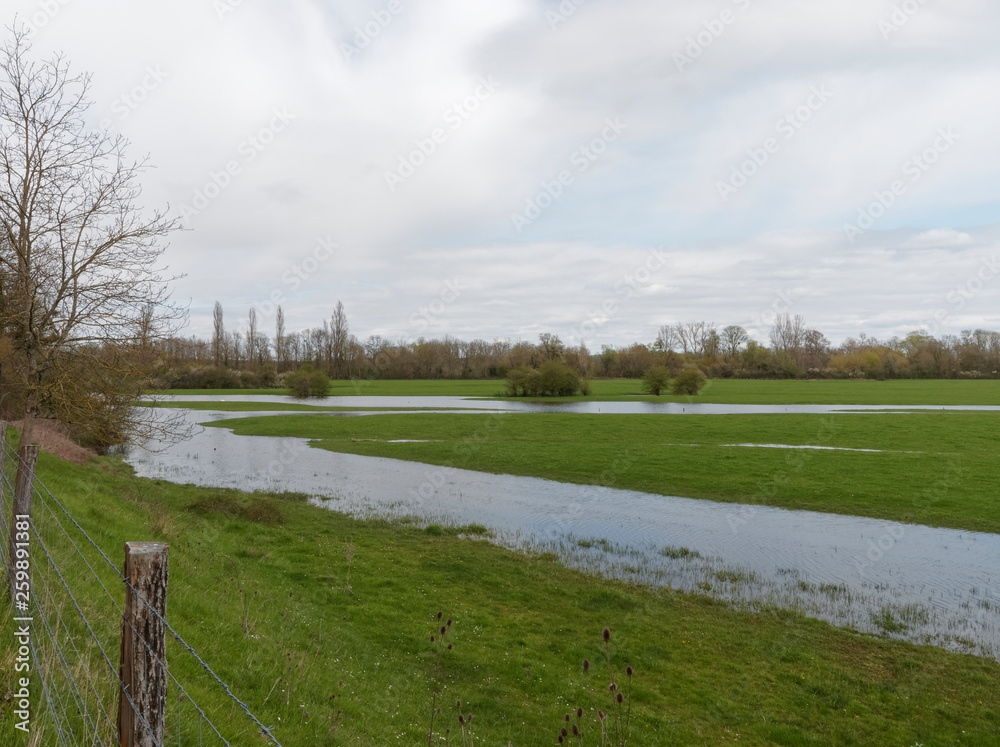 Obraz premium Apremont-sur-Allier. Paysage de bocage au bord de l'Allier