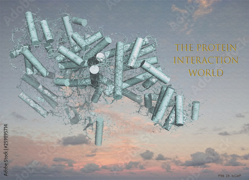 The protein interaction world _sky