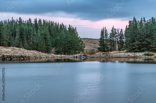 Fototapeta Naklejka Na Ścianę i Meble -  Sunset in Conemara lake with Pine Forest around