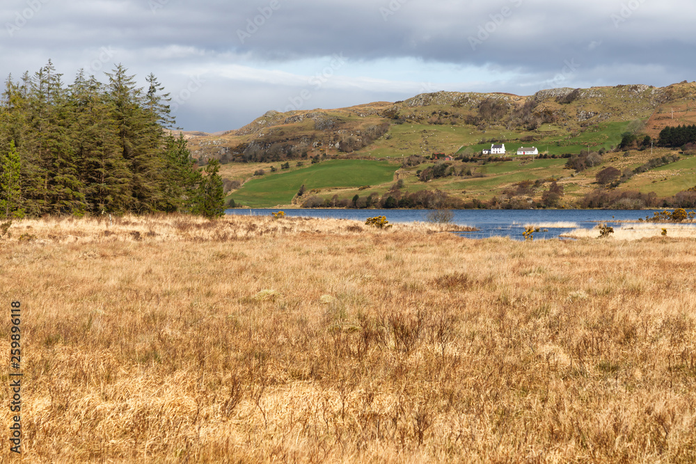Farm, forest and vegetation at Western way trail in Lough Corrib