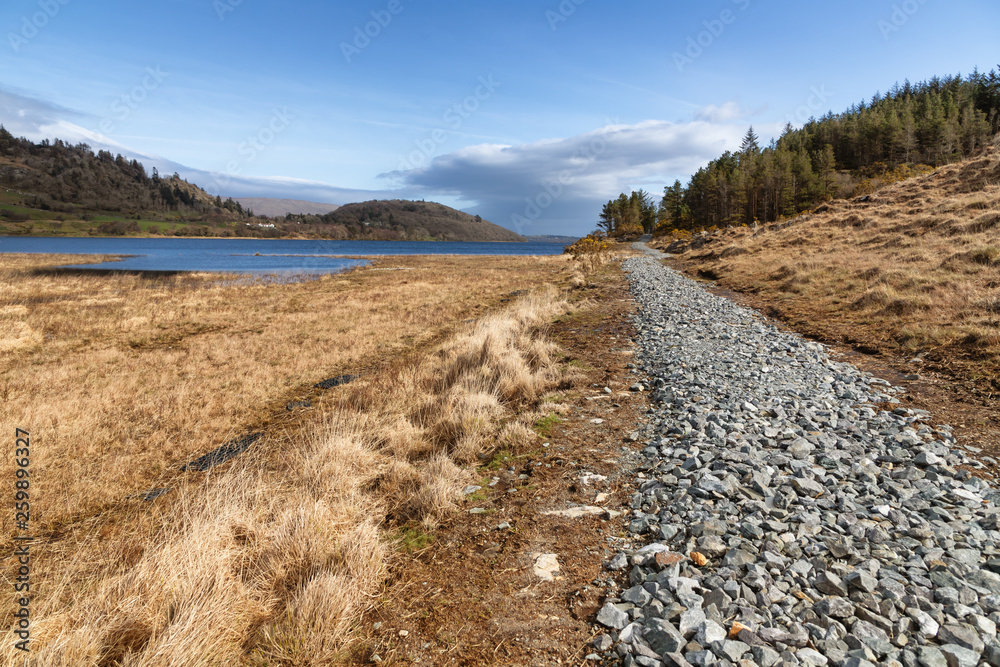 Mountain, lake and vegetation at Western way trail in Lough Corrib