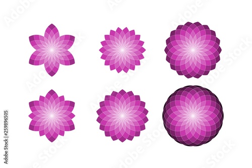 Geometric Circular Floral Star Shapes with Isolated Elements
