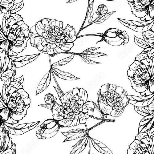 Realistic hand drawn pattern with peony. White and black illustration surface design