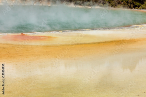 geothermal activity at Rotorua in New Zealand