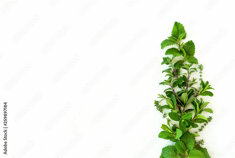 Fresh green garden herbs composition on white background. Top view with copy space
