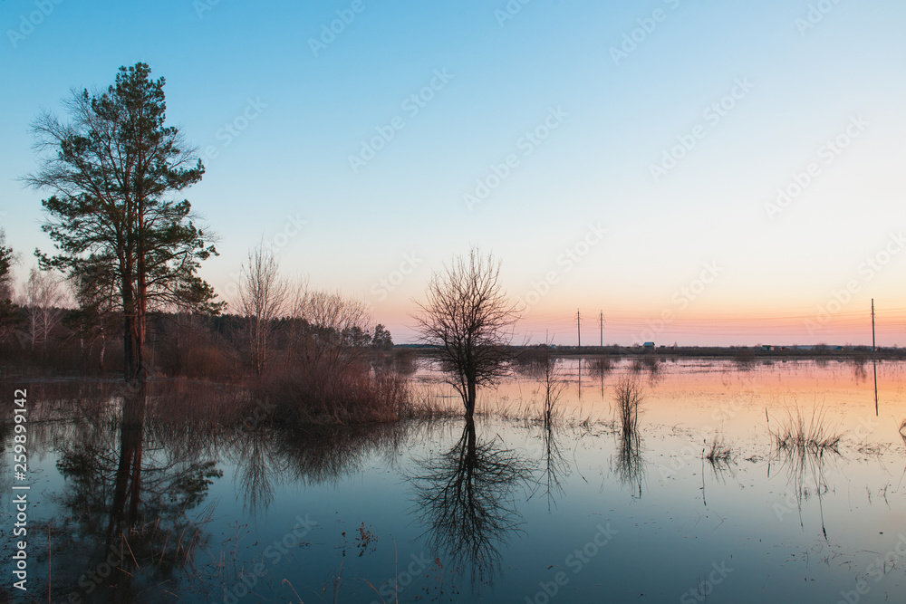 Flooded tree trunks on the meadow during spill in early spring. Tree branches in the reflection of flooded meadows. Spring spill in the meadow.