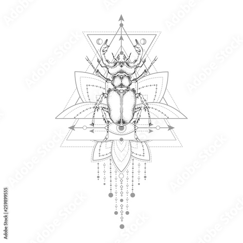 Vector illustration with hand drawn stag beetle and Sacred geometric symbol on white background. Abstract mystic sign.
