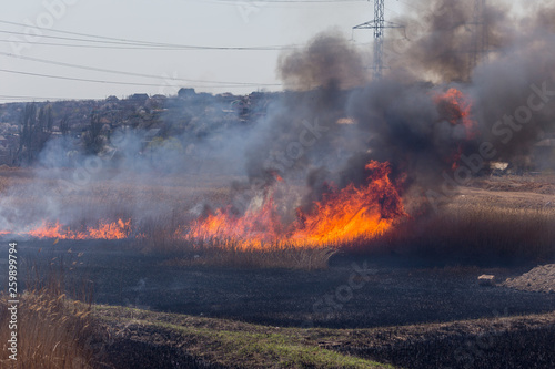 Raging forest spring fires. Burning dry grass, reed along lake. Grass is burning in meadow. Ecological catastrophy. Fire and smoke destroy all life. Firefighters extinguish Big fire. Lot of smoke