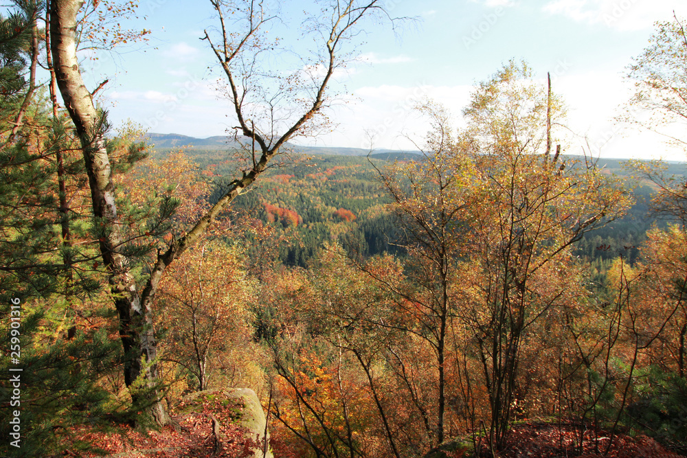 Natur Natur