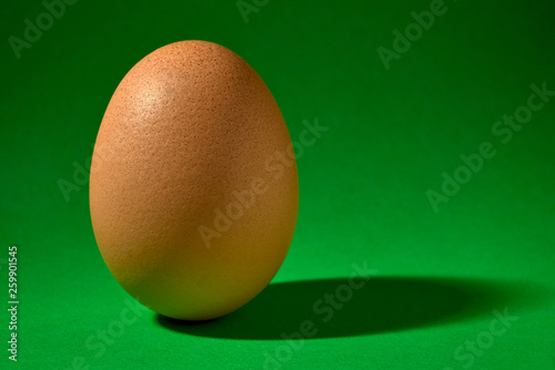 brown chicken egg on green background