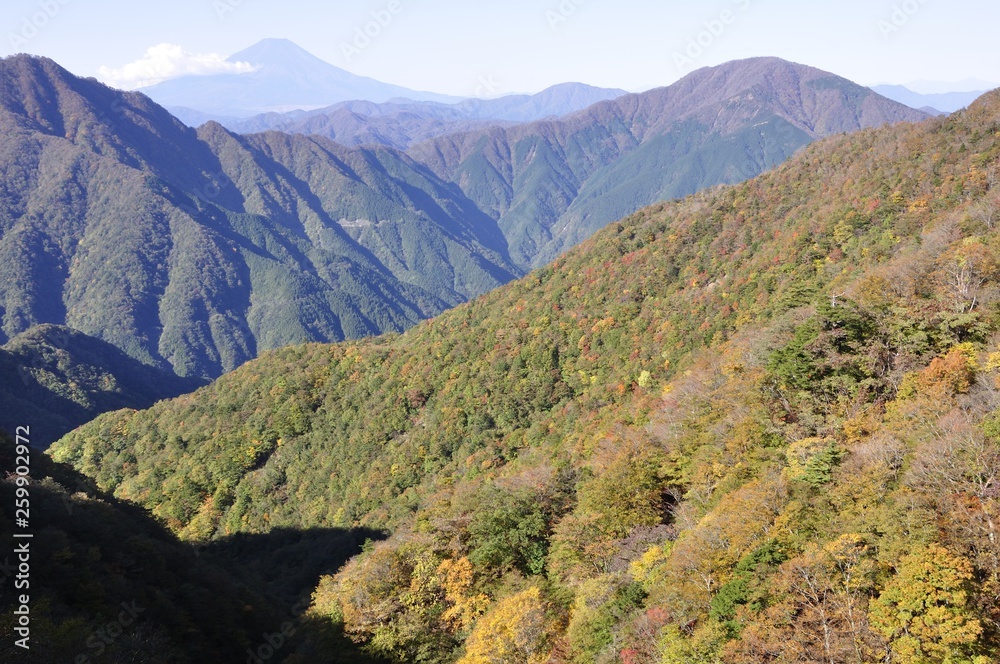 秋の丹沢山地と富士山