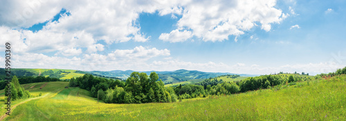 panorama of beautiful countryside in summer. wonderful landscape in mountains. rural fields and grassy meadows. road down the hill in to the distant valley through forest. clouds on the blue sky