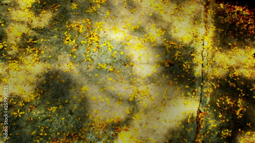 The background created by the yellow flowers that fall