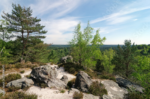 Hills and rocks in Fontainebleau forest