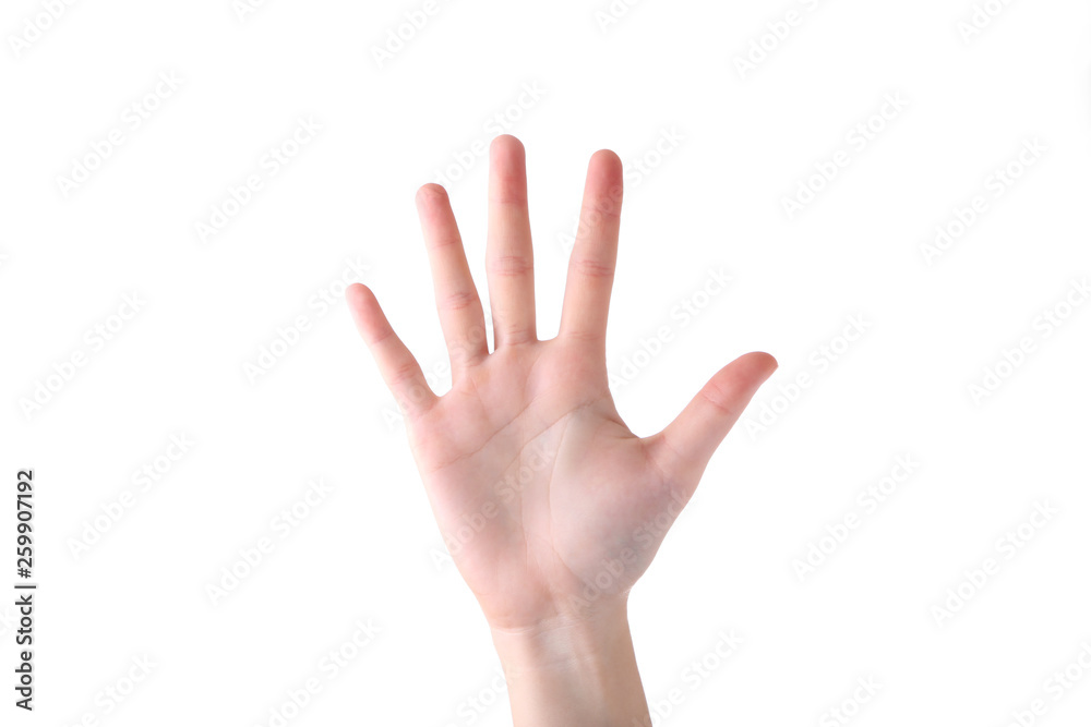 Female hand gesture isolated on a white background Female hand gesture isolated on a white background