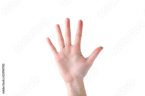 Female hand gesture isolated on a white background © Mouse family