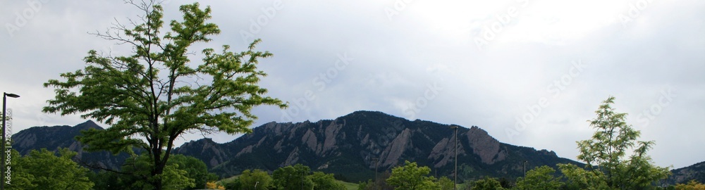 View of the Rocky Mountains in Denver. In the foreground is a tree, in the back are rocky mountains.