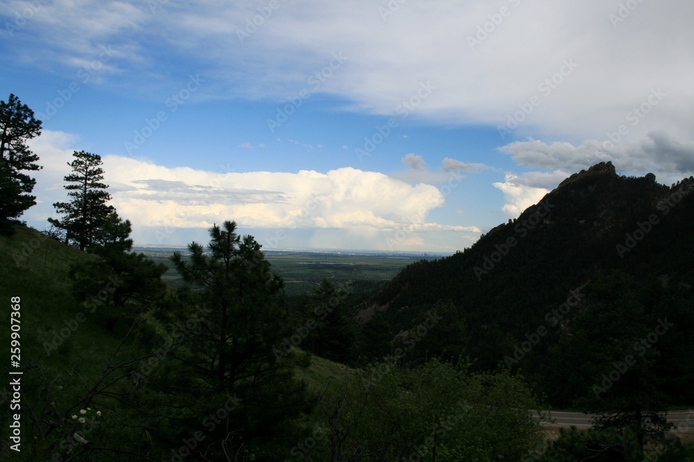 View of the Rocky Mountains in Denver. In the foreground is a tree, in the back are rocky mountains.