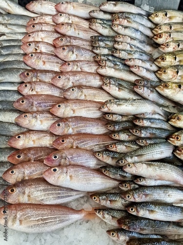  Many fresh sea fish are sold at seafood restaurants.31