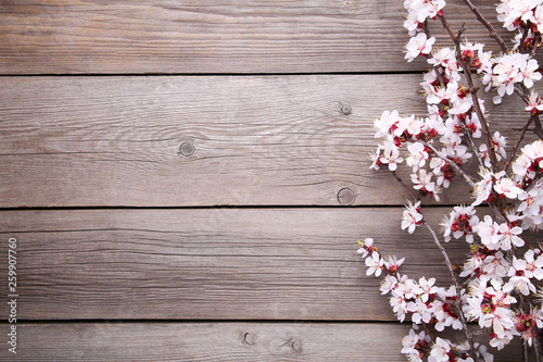 Fototapeta Naklejka Na Ścianę i Meble -  Spring blooming branches on grey wooden background.