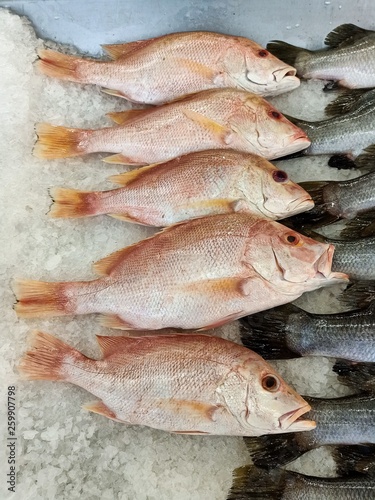  Many fresh sea fish are sold at seafood restaurants.76