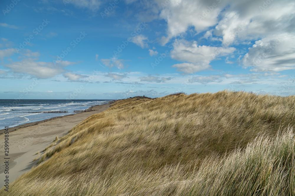 View from Dunes towards Domburg Beach with awesome Sky / Netherlands