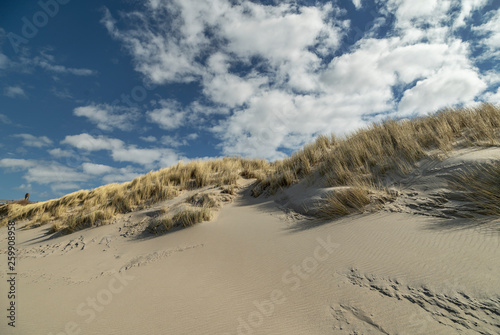 View to abandoned Beach at Domburg with strong Wind / Netherlands