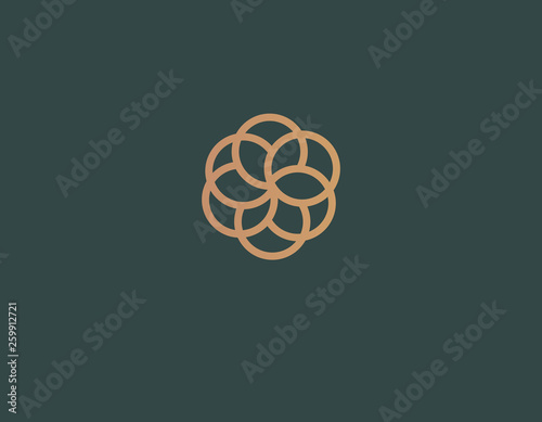 Linear logotype ornament for spa salon