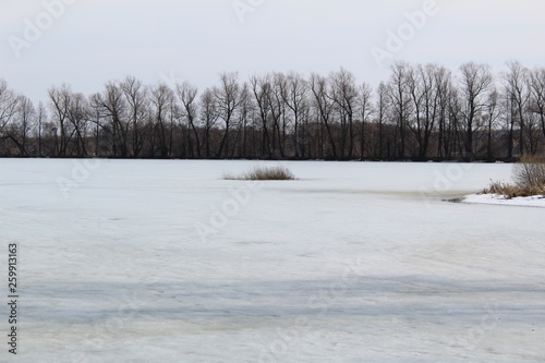 spring landscape with ice-covered river and trees