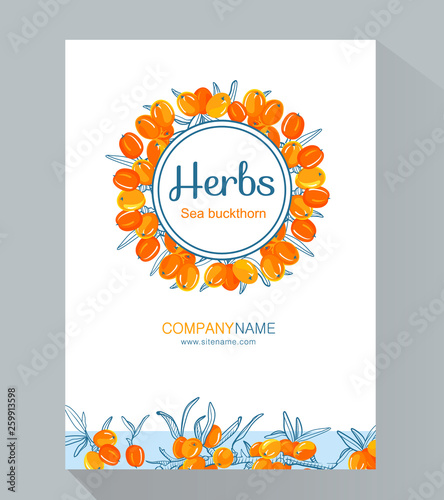Sea buckthorn branch vertical banners, vector illustration, line art decorative rosehip for design cosmetic, natural medicine, herbal tea, food menu.