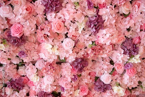 close-up of colorful roses backdrop wall. © 9Air