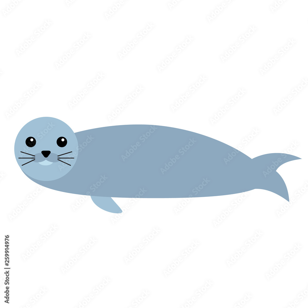 Fototapeta premium blue baby seal flat illustration on white