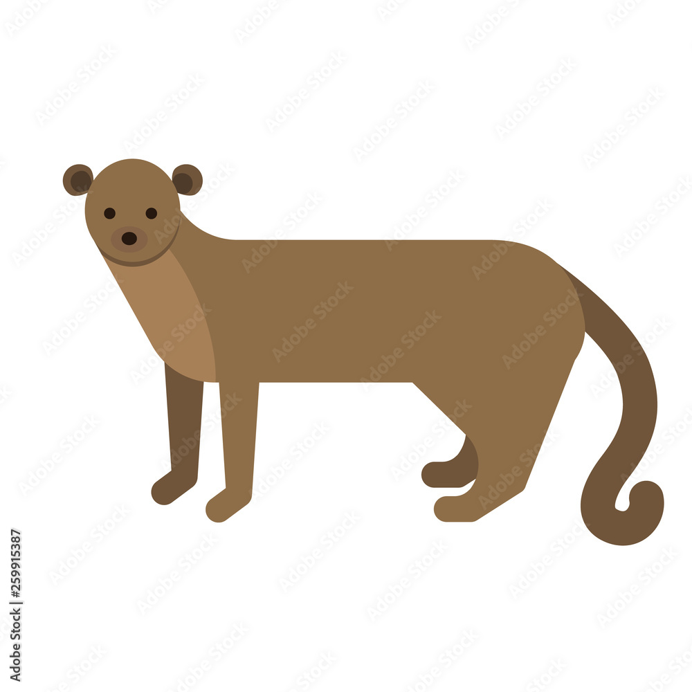 Fototapeta premium puma flat illustration on white