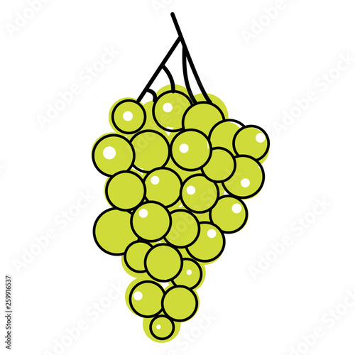 green grapes flat illustration on white