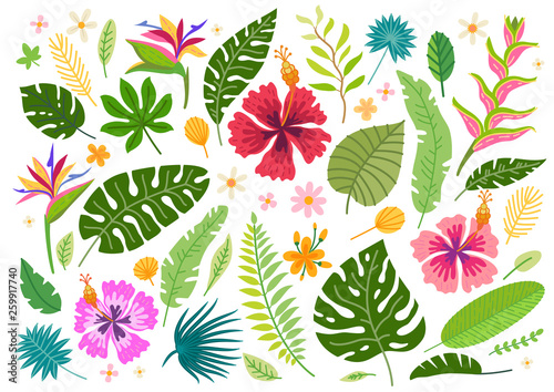 Fototapeta Naklejka Na Ścianę i Meble -  Set of vector cartoon rainforest floral elements