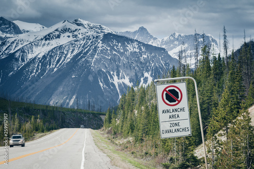 Road in Jasper National Park in Canada photo