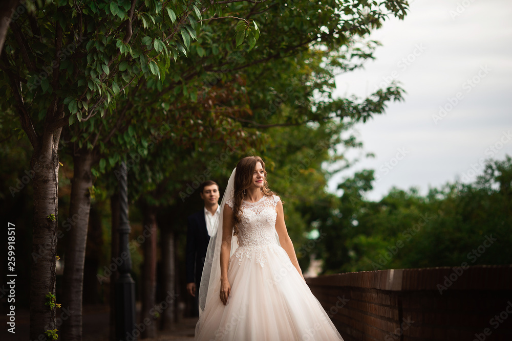 Newlyweds walking in the park. Happy luxury wedding couple walking and smiling among trees Newlyweds walking in the park. Happy luxury wedding couple walking and smiling among trees