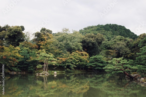 Japan garden lake nature