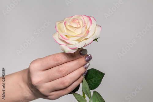 Woman holding one synthetic rose flower in hand. Flower looks like real. Isolated at grey background. Horizontal color photography. © Andrii Oleksiienko