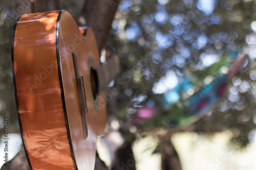 Guitarra colgada en árbol en plena naturaleza