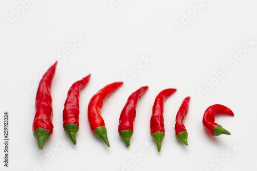 set of red  chili peppers on a white backgroundfrom big to small photo