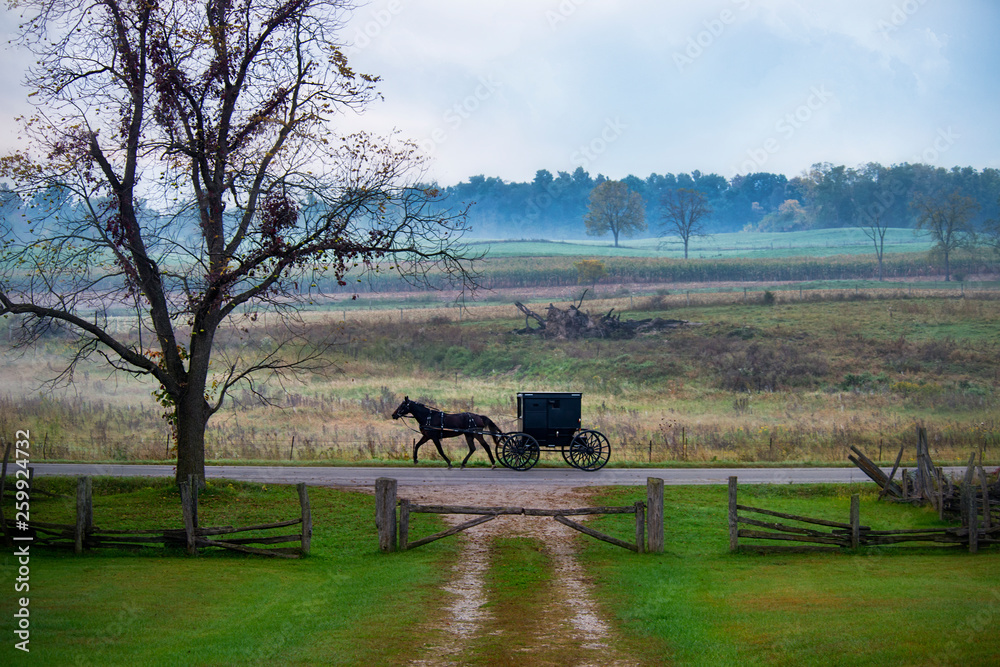 Amish Buggy at Split Rail Gate Amish Buggy at Split Rail Gate
