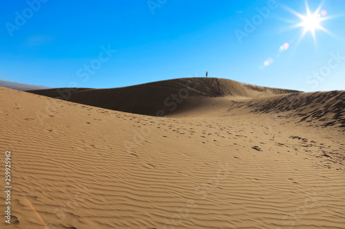 Summer background of sand on beach and blue sky with sun light. Free space for your decoration. 