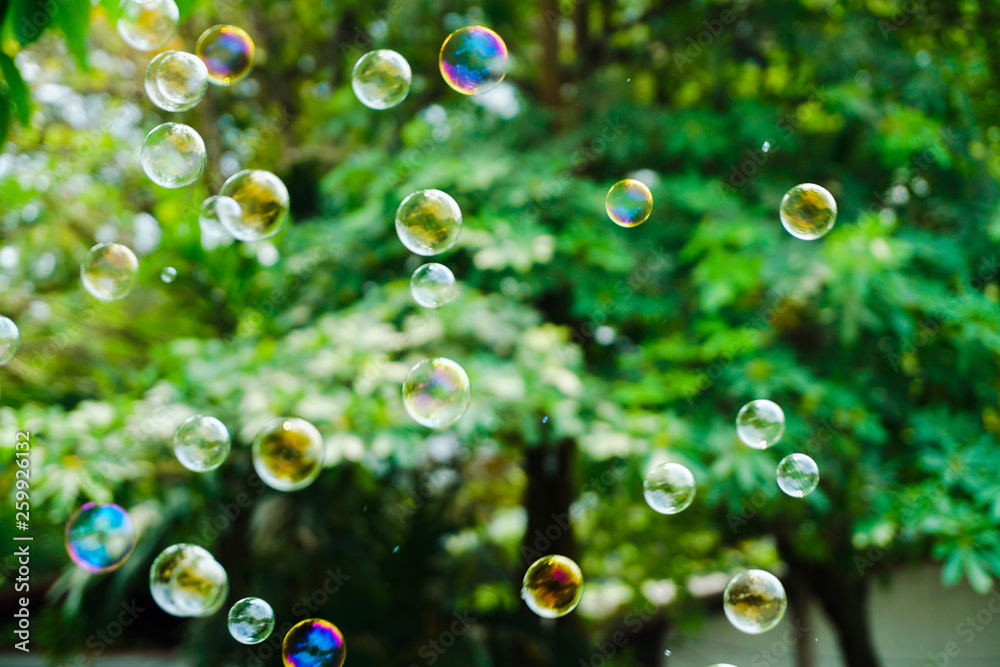 the nature soap bubble texture background and wallpaper