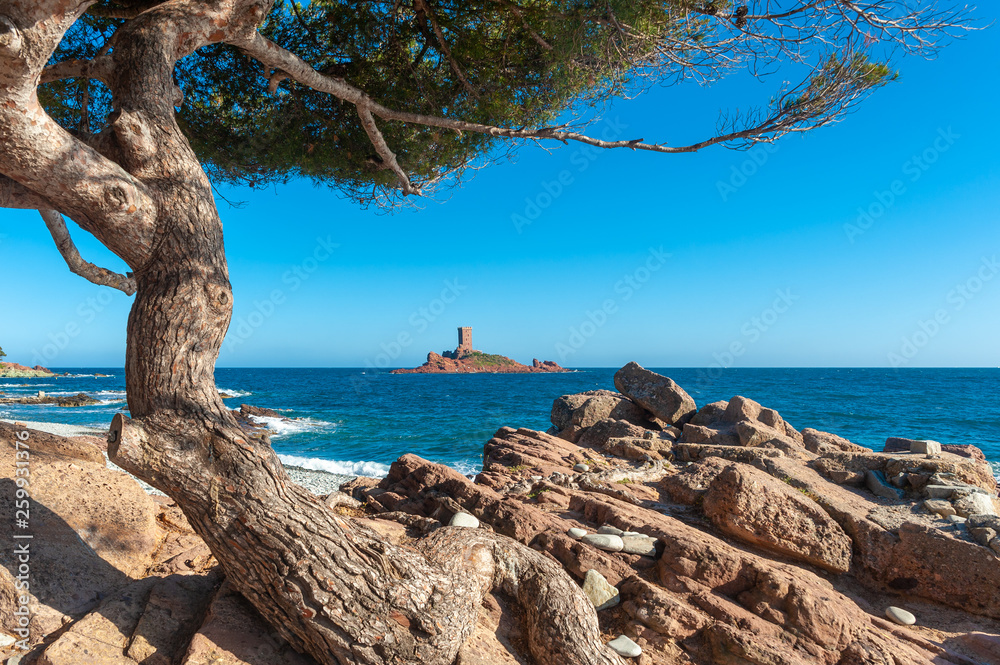 Coastal landscape at Cape Dramont near Saint-Raphael