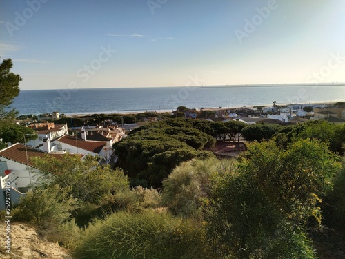 Vista del mar y pinos en Mazagón provincia de Huelva España