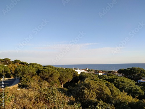 Vista del mar y pinos en Mazagón provincia de Huelva España