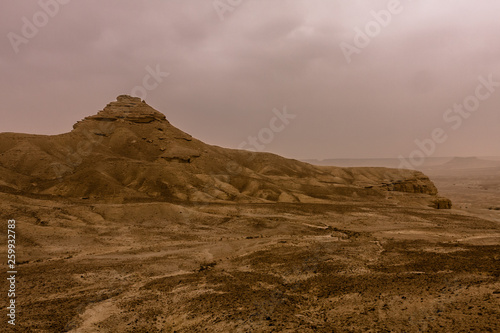 Desert landscape with thunderclouds and sandstorm in Lower Najd  Saudi Arabia