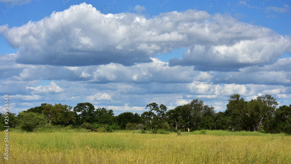 african ladscape with clouds,Kruger national park